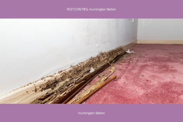PEST CONTROL Huntington Station